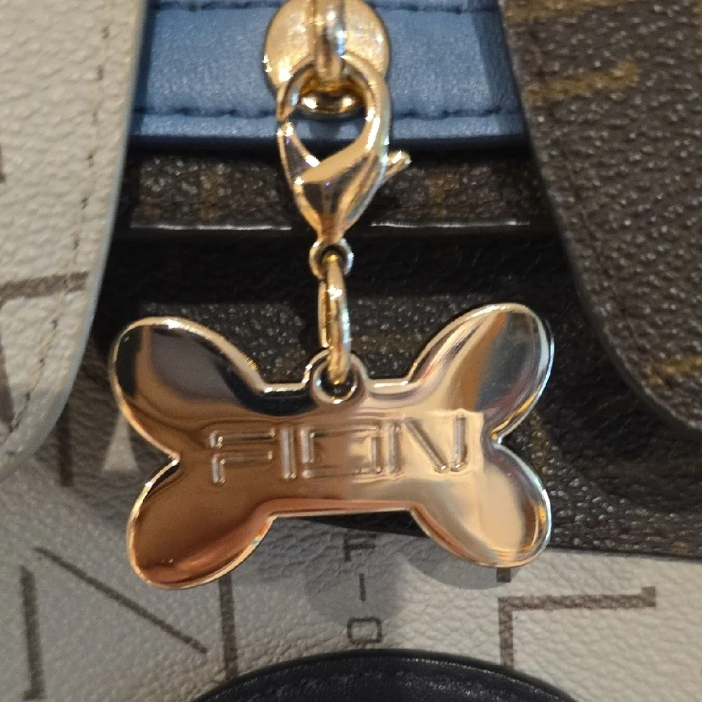 FION elevate your